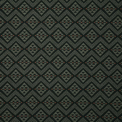 Pindler Fabric DUR019-GR06 Durango Lichen
