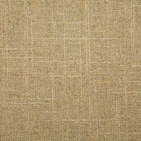 Pindler Fabric JEF001-BG41 Jefferson Jute